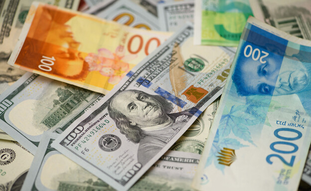 שקל דולר (צילום: Hadar Youavian, פלאש 90)