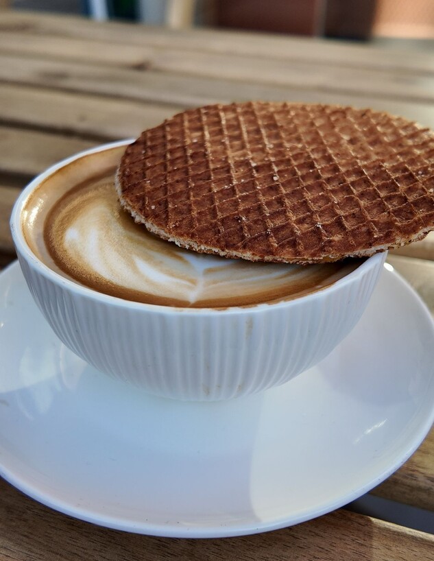 מנות חדשות בסטרופי