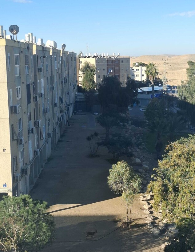 מבט מחלון המלון