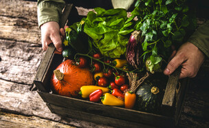 ירקות אורגניים (צילום: mythja, shutterstock)
