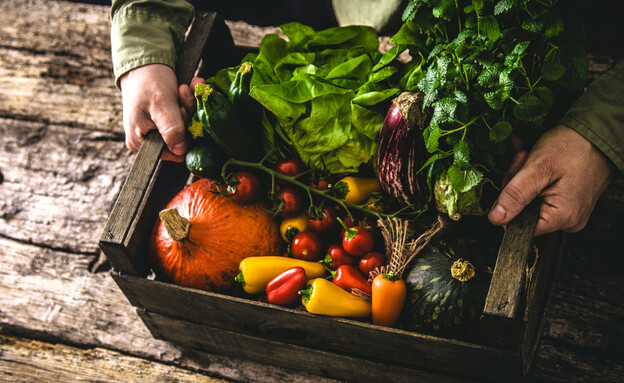 ירקות אורגניים (צילום: mythja, shutterstock)