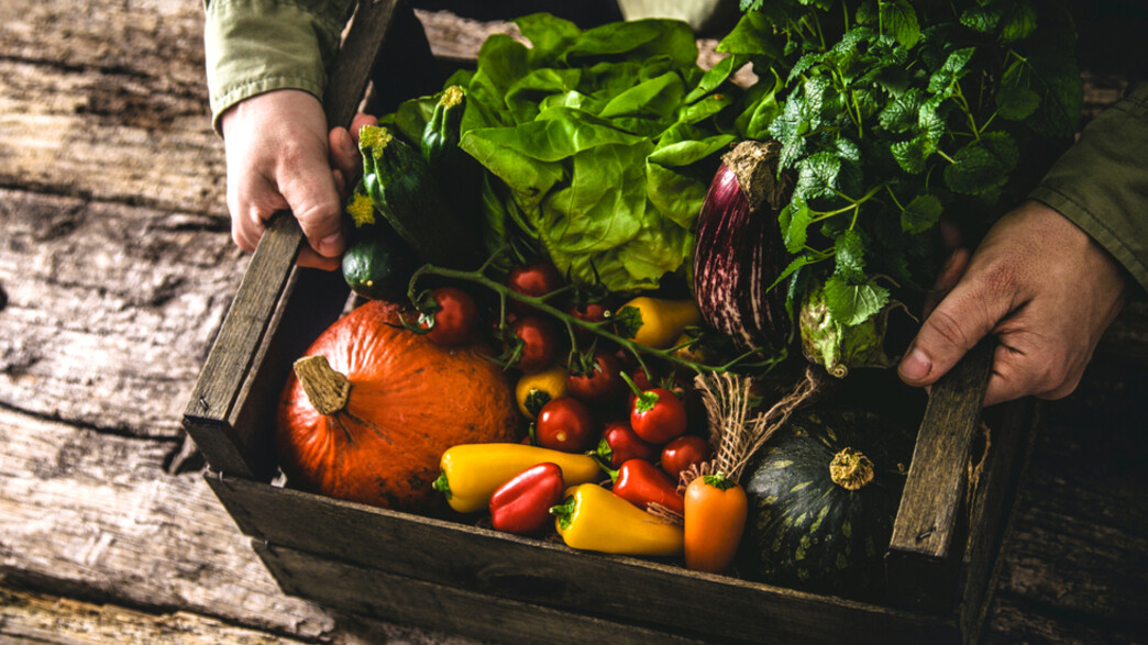 ירקות אורגניים ירקות אורגניים