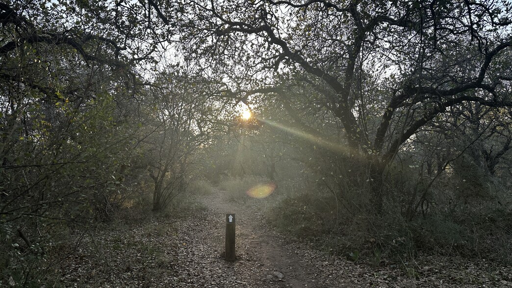 שמורת אלוני יצחק שמורת אלוני יצחק
