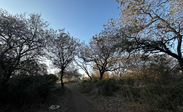 שמורת אלוני יצחק שמורת אלוני יצחק