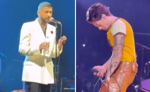 זאין מאליק, הארי סטיילס (צילום: Instagram)