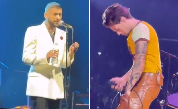 זאין מאליק, הארי סטיילס (צילום: Instagram)