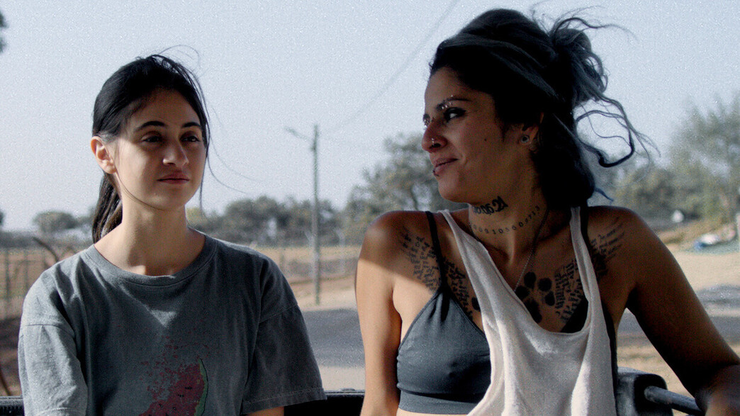 מתוך "על כלבים ואנשים"