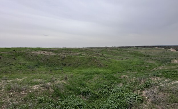 בתרונות בארי בתרונות בארי