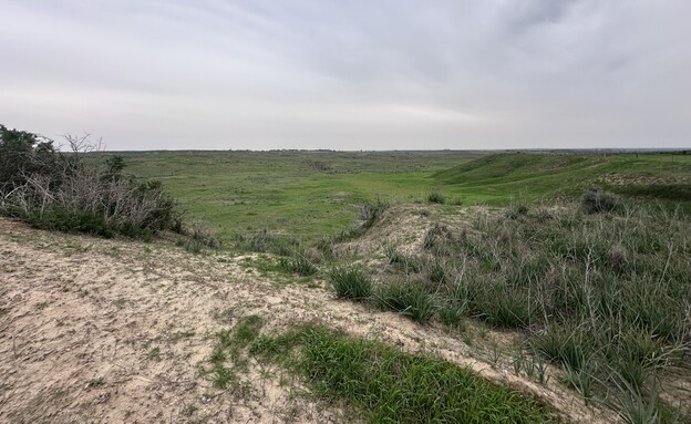 מכתש בארי מכתש בארי