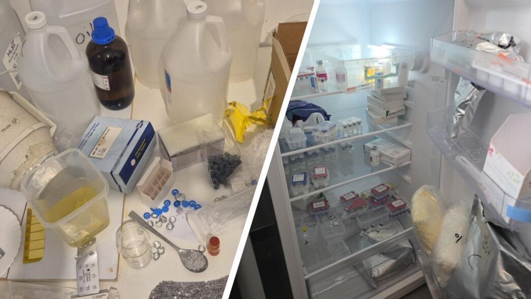 המפעל הפיראטי לייצור תרופות המפעל הפיראטי לייצור תרופות