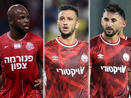 (צילומים: אלן שיבר ומאור אלקסלסי) (צילום: ספורט 5)