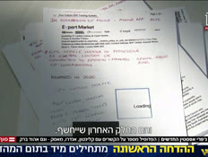 20epstien_vtr2_n20260131_v1 (צילום: חדשות)