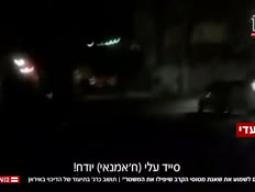 20iranedutvtr_vtr2_n20260131_v1 (צילום: חדשות)