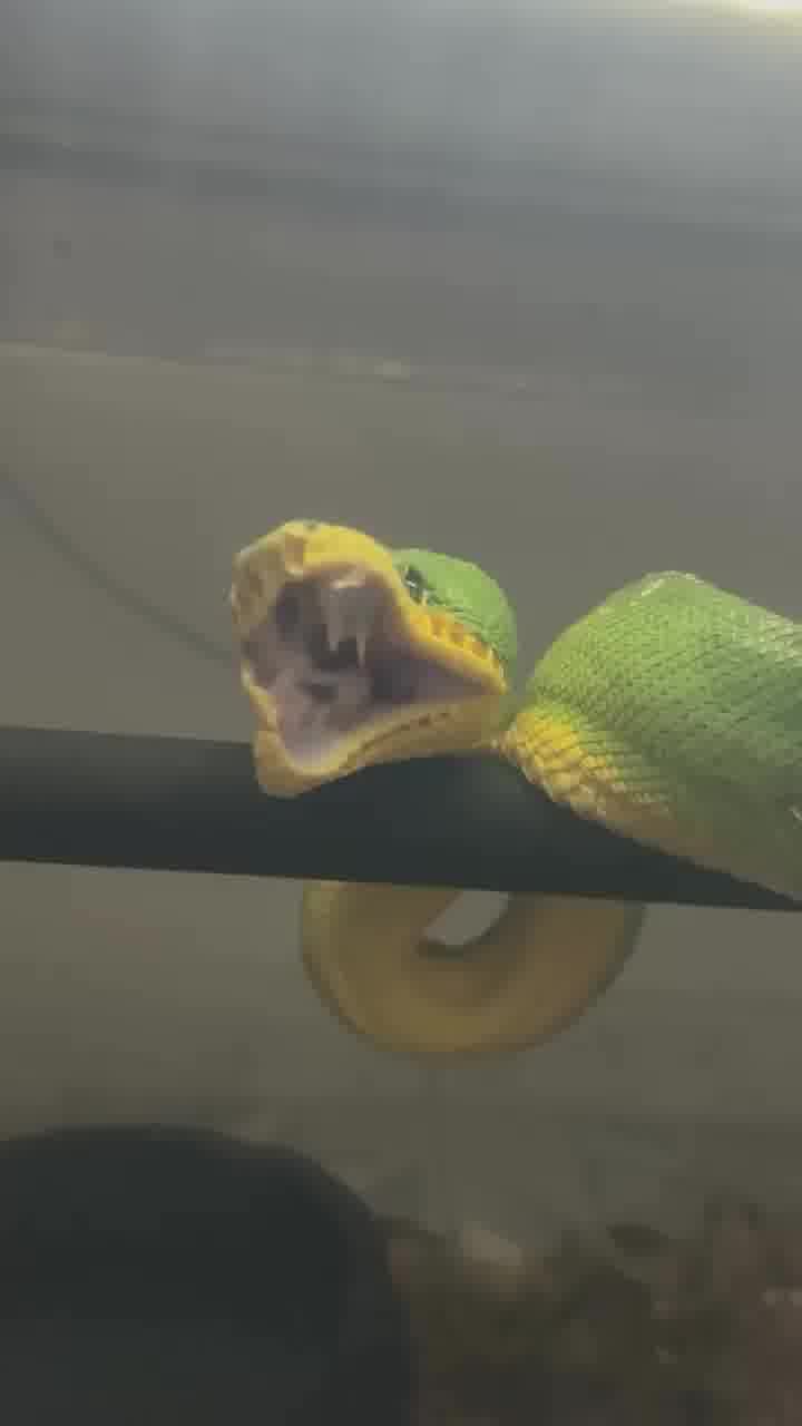 כשאתה מתעורר משנ"צ בשבת בצהריים