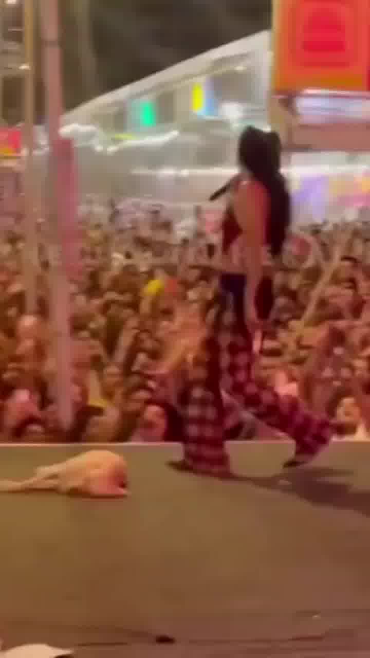 למרות הקרנבל סביבו: כלב נרדם על הבמה של הברזילאית מריה סנה. זה לא הפריע לאף אחד