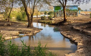 מעיין עדעד (צילום: רמ"י)