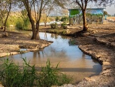 מעיין עדעד (צילום: רמ"י)