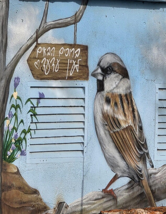 מעיין עדעד מעיין עדעד