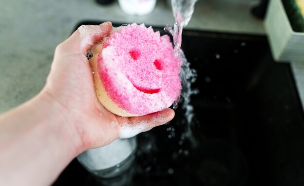 סקראב דדי ספוג, סקוץ' (צילום: shutterstock_Rokas_Tenys)