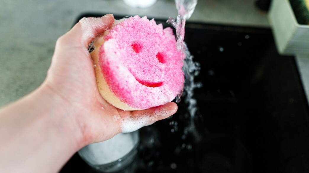 סקראב דדי ספוג, סקוץ'