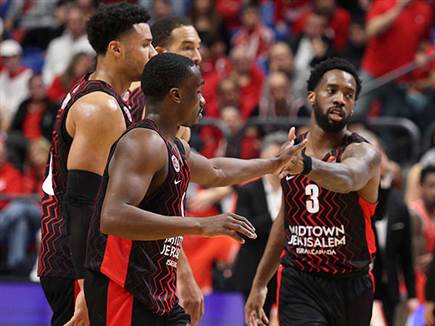 חגיגה אורחת (אלן שיבר)