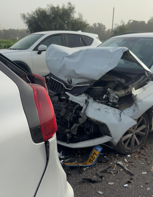 נרקיס בתאונת דרכים נרקיס בתאונת דרכים