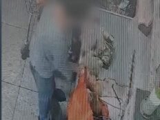 גנבת העגלות בויקטורי