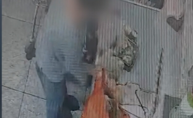 גנבת העגלות בויקטורי (צילום: מצלמות אבטחה)