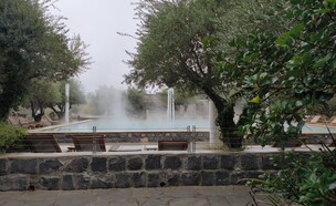 מלון פרא (צילום: אילן ארנון)