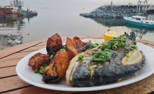 לאגוס. בול כמו ביוון רק בכנרת (צילום: גל טוויג-בזלת, יחסי ציבור)