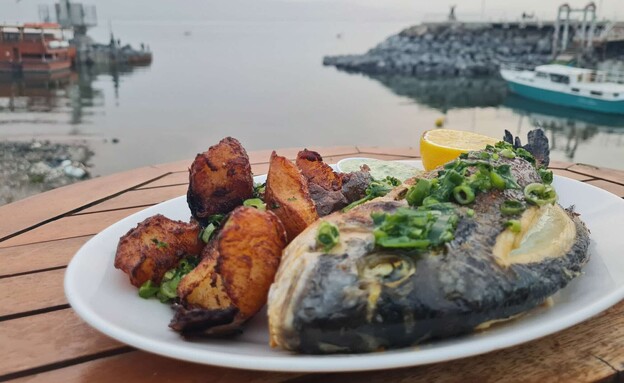 לאגוס. בול כמו ביוון רק בכנרת (צילום: גל טוויג-בזלת, יחסי ציבור)