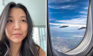 מלחמת העולמות על חלון (צילום: צילום מסך)