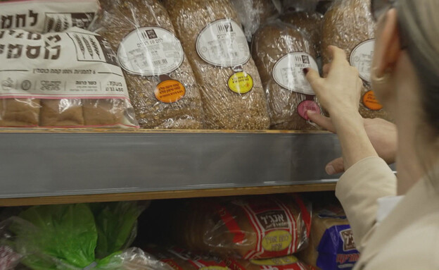 מבחן התזונה של כלי הבינה המלאכותית זה הראשון