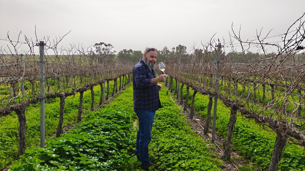 יקב גלאי יקב גלאי