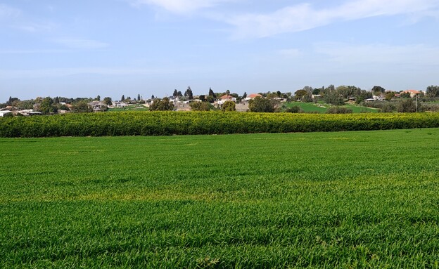 מראה מהשטח אל המושב מראה מהשטח אל המושב
