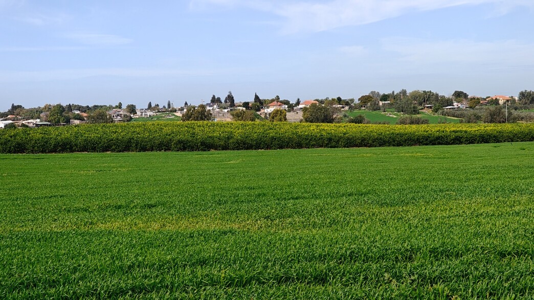 מראה מהשטח אל המושב
