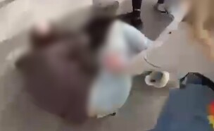 קטטה בין נערות בחטיבת ביניים בנתניה (צילום: לפי סעיף 27 א')
