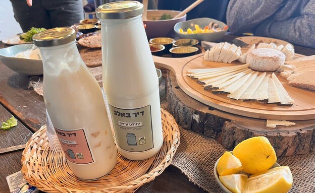 גבינות דיר באלאכ כפר רופין