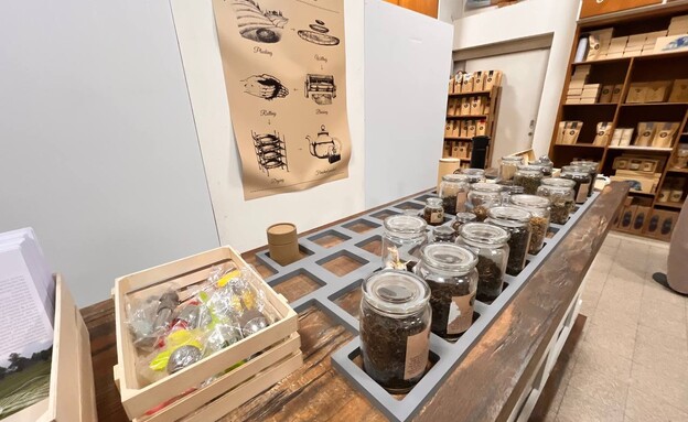 בית התה TE בית אלפא