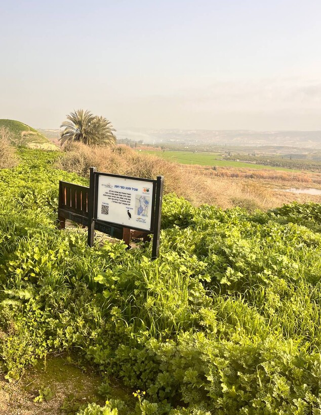 שלט שביל סובב כפר רופין