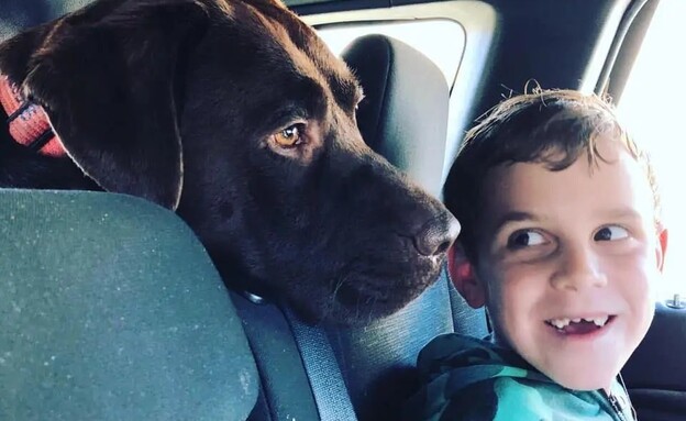 גם חיות המחמד של המשפחה מתו ברצח הכפול באוסטרליה