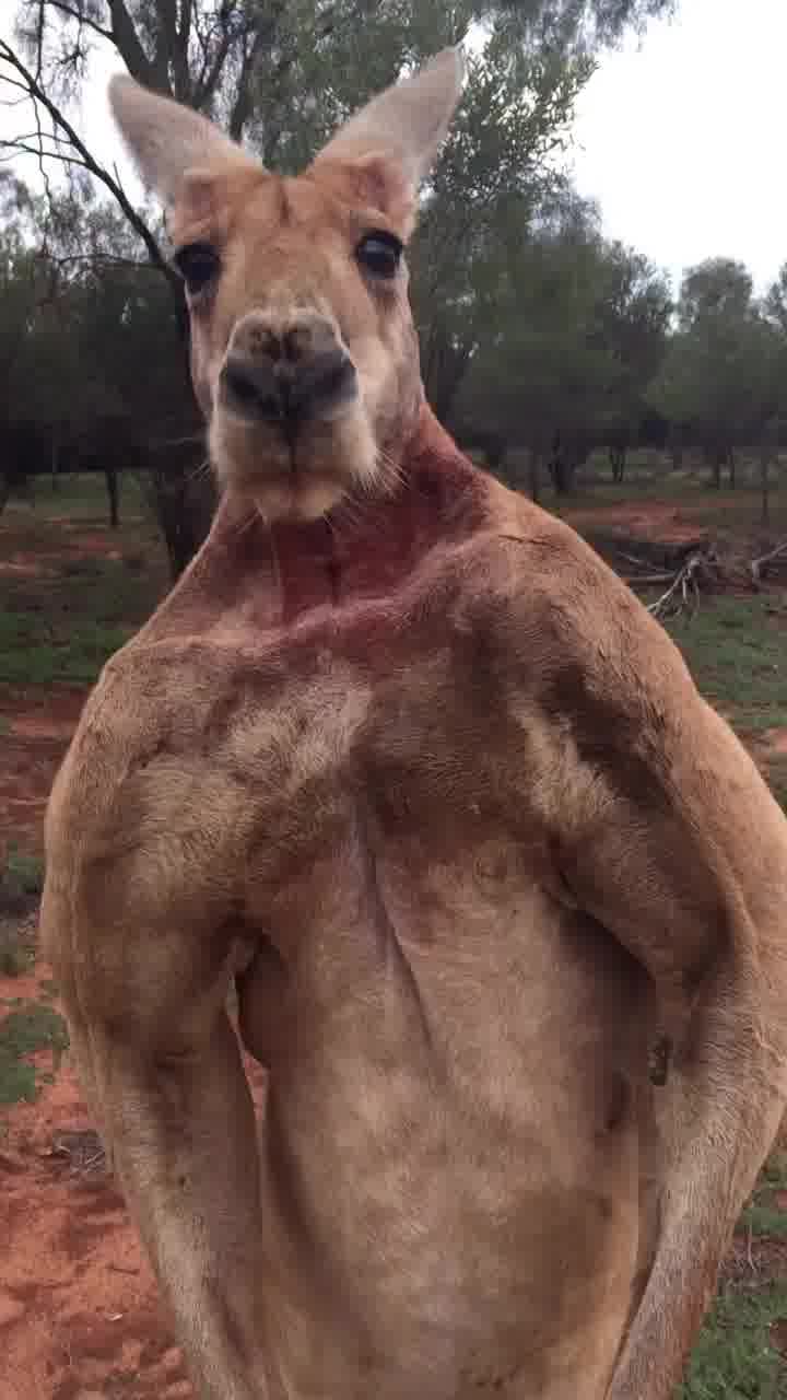 *שימו סאונד*: כשמגרד לך במאחורה של החך