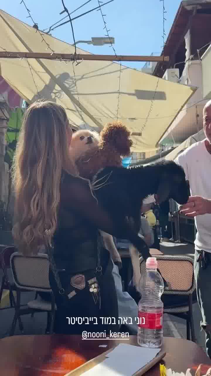 שני כלבים ועז: הצהריים המסקרנים של נוני קרן - כוכבת  הרשת ומתמודדת ״המירוץ למיליון״ 