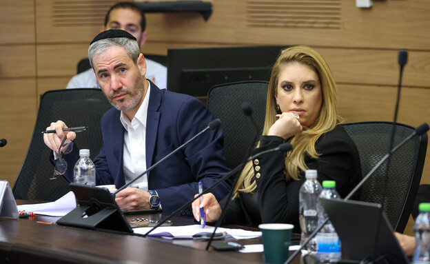 חברי הכנסת שלי טל מירון ויוסף טייב בוועדת הכלכלה