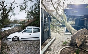 סערה בפורטוגל (צילום: באדיבות המצלמת)