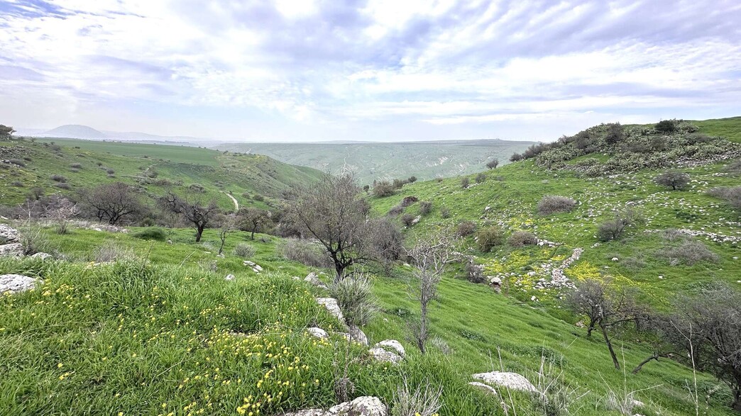 נחל דנה טיול