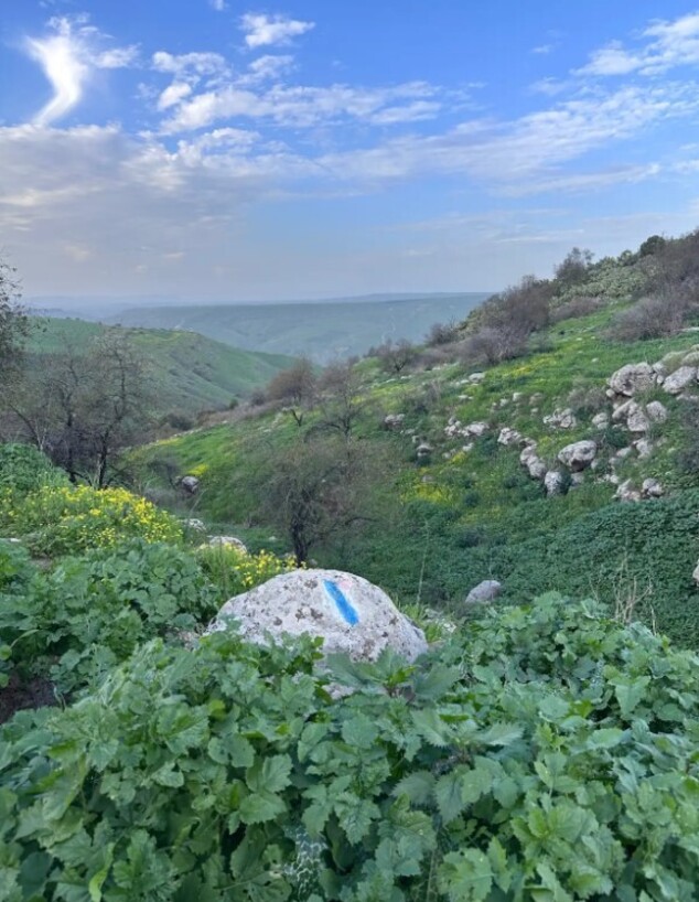 נוף נחל דנה טיול