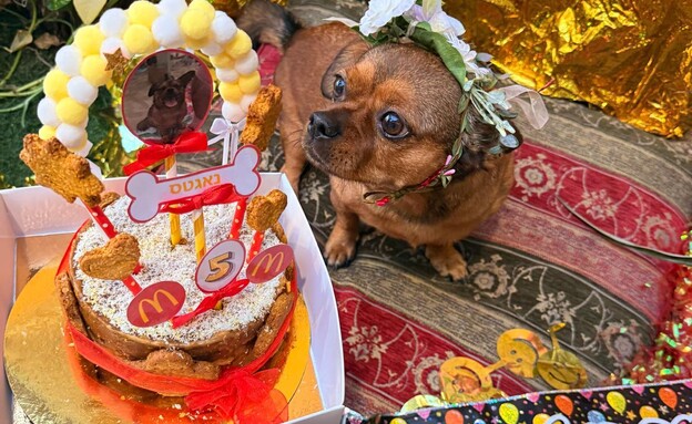 גן הכלבים דוגליס