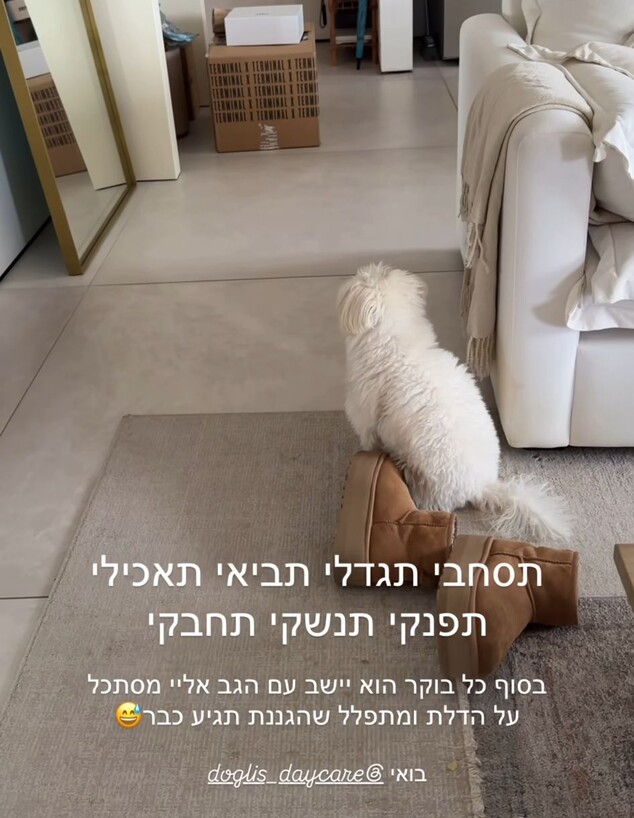 מתוך האינסטגרם של דנית גרינברג