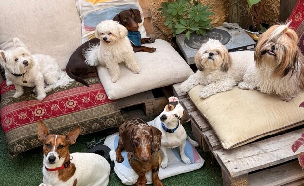 גן הכלבים דוגליס